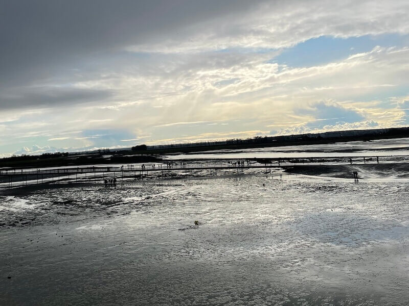 モン・サン・ミシェルから見た干潟