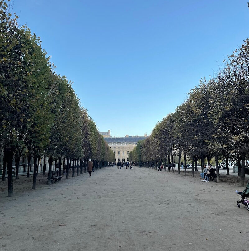 映画ロケ地に選ばれる庭園のパレロワイヤル